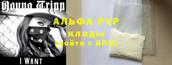 СК Елизово