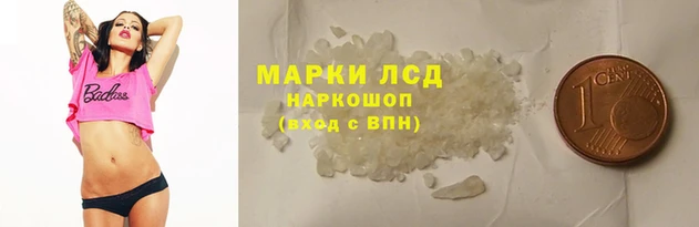 СК Елизово