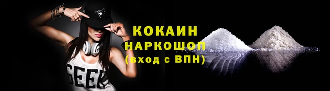 гидра Дмитров