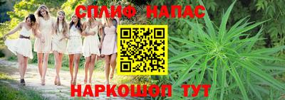 ПСИЛОЦИБИНОВЫЕ ГРИБЫ Заволжье