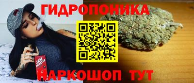 скорость Жуковский