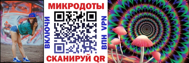 даркнет телеграм  Сальск  Галлюциногенные грибы Cubensis  купить закладку 