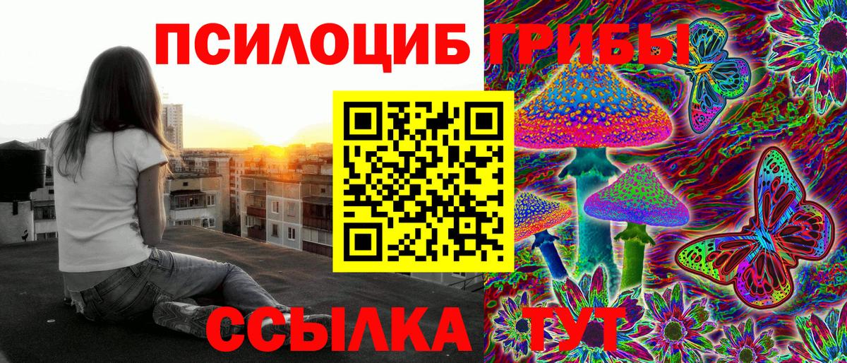Псилоцибиновые грибы Magic Shrooms Сальск